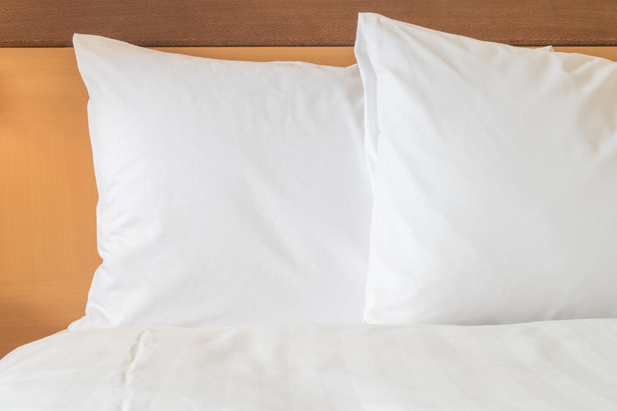 Crowne Plaza Jacksonville Airport By Ihg Eksteriør billede