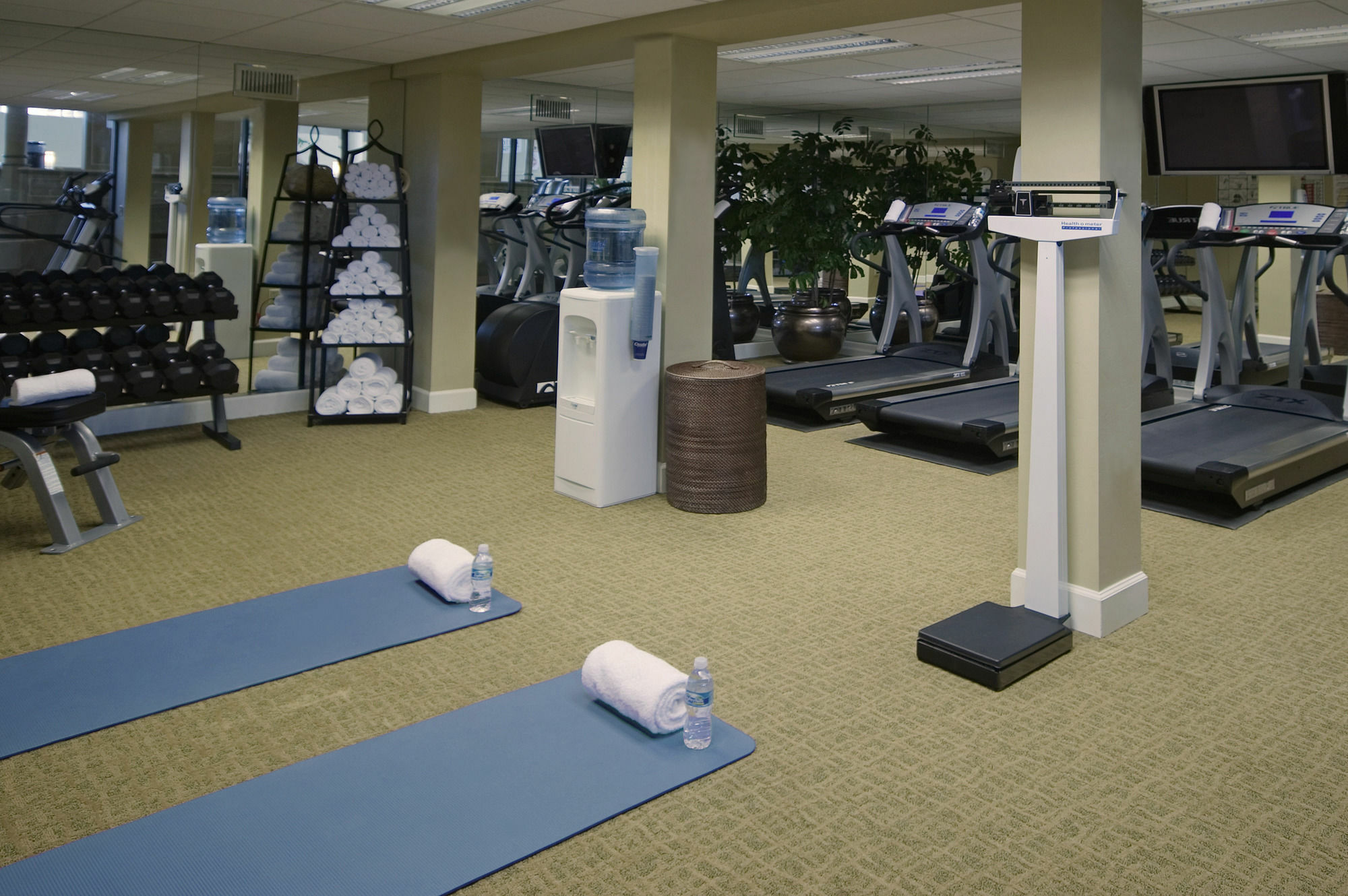 Crowne Plaza Jacksonville Airport By Ihg Eksteriør billede